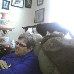 Meet your Posher, Linda